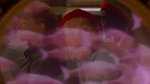 Backdrop to the movie "The Life Aquatic with Steve Zissou" #936285
