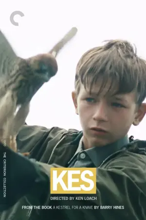 Poster to the movie "Kes" #211587