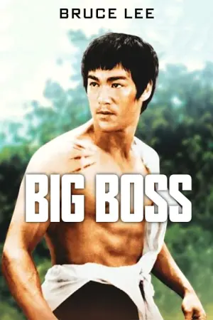 Poster to the movie "The Big Boss" #91128