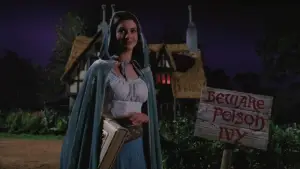 Backdrop to the movie "Ella Enchanted" #861502