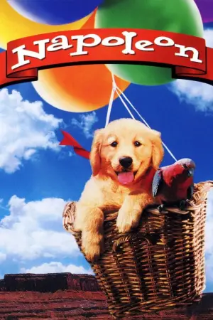 Poster to the movie "Napoleon" #646961