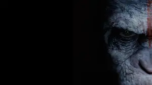 Backdrop to the movie "Dawn of the Planet of the Apes" #596947