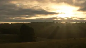 Backdrop to the movie "The Hunger Games: Mockingjay - Part 2" #785576