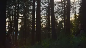 Backdrop to the movie "Train Dreams" #514911