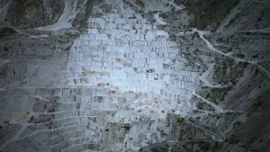 Backdrop to the movie "The Brutalist" #610886