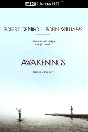 Poster to the movie "Awakenings" #754546
