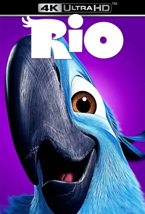 Poster to the movie "Rio" #41349