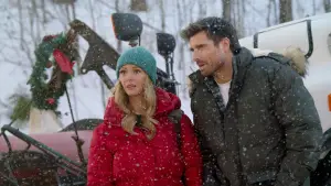 Backdrop to the movie "Falling Like Snowflakes" #705145