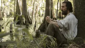 Backdrop to the movie "Free State of Jones" #268092