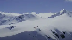 Backdrop to the movie "The Lord of the Rings: The Fellowship of the Ring" #503279