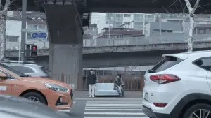 Backdrop to the movie "The Dream with Sofa" #736613