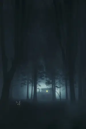 Poster to the movie "Shelby Oaks" #522840