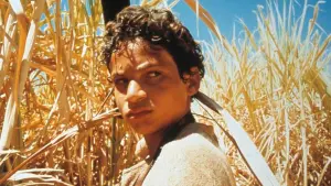 Backdrop to the movie "Behind the Sun" #492510