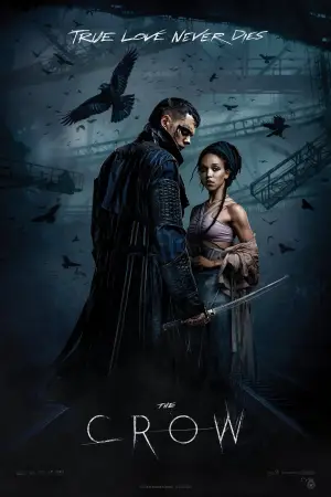 Poster to the movie "The Crow" #762102