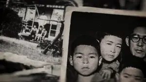 Backdrop to the movie "Miyazaki, Spirit of Nature" #668281