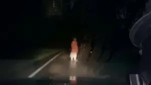 Watch film Dashcam | Official Teaser Trailer