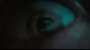 Backdrop to the movie "Halloween Ends" #699651