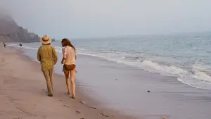 Backdrop to the movie "Inherent Vice" #704210