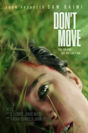Poster to the movie "Don