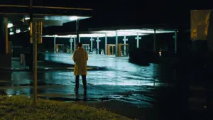 Backdrop to the movie "The Vanishing" #212380