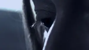 Backdrop to the movie "Young Adam" #394604