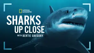 Backdrop to the movie "Sharks Up Close with Bertie Gregory" #792999