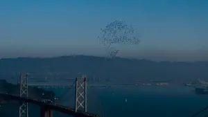 Backdrop to the movie "The Matrix Resurrections" #601303