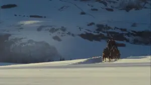 Backdrop to the movie "The Hateful Eight" #582707