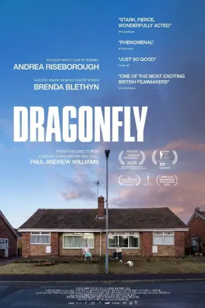 Poster to the movie "Dragonfly" #692828