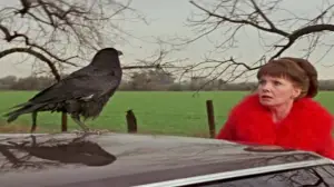 Backdrop to the movie "Damien: Omen II" #949537