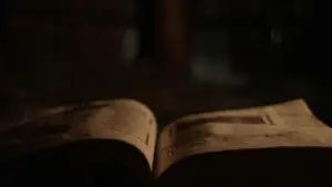 Backdrop to the movie "The Witch" #600216