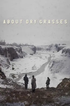 Poster to the movie "About Dry Grasses" #757512