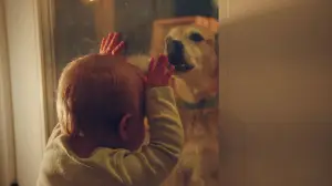 Backdrop to the movie "Good Dog" #776209