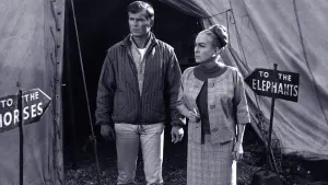 Backdrop to the movie "Berserk!" #470585