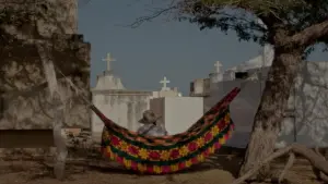 Backdrop to the movie "Dreams Travel With the Wind" #491195