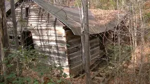 Backdrop to the movie "Road to Wadesboro- Evil Dead 2 Locations" #419247