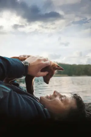 Poster to the movie "The Fox" #758704