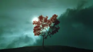 Backdrop to the movie "The Ring" #636357