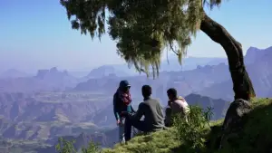 Backdrop to the movie "Le royaume des nuages" #800280