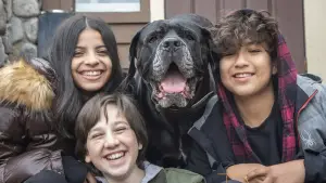 Backdrop to the movie "Dog Patrol: Operation Santa Paws" #632240