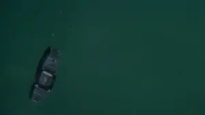 Backdrop to the movie "For Your Eyes Only" #326904