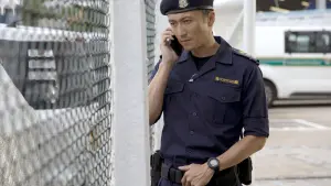 Backdrop to the movie "Customs Frontline" #490709