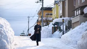 Backdrop to the movie "Moonlit Winter" #392378