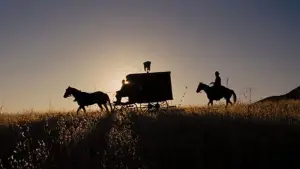 Backdrop to the movie "Django Unchained" #583933