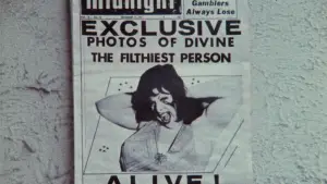 Backdrop to the movie "Pink Flamingos" #612061