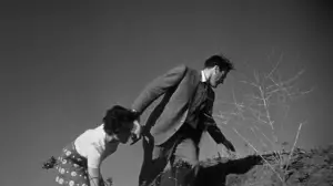 Backdrop to the movie "Invasion of the Body Snatchers" #715475