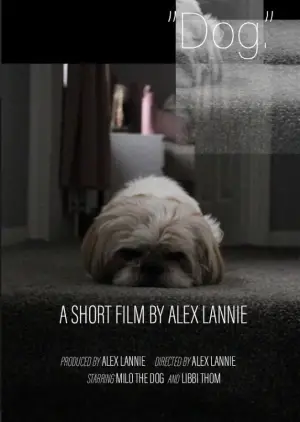 Poster to the movie "“Dog.”" #550863