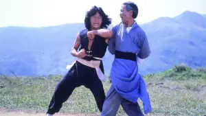 Backdrop to the movie "The Young Master" #721926