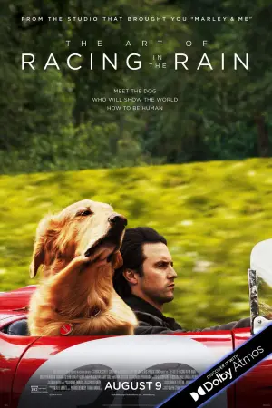 Poster to the movie "The Art of Racing in the Rain" #716562