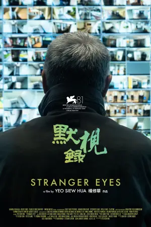 Poster to the movie "Stranger Eyes" #667851